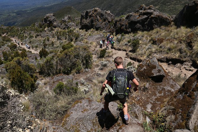 Mount Kilimanjaro Day Hike - Picnic lunch on the way to Mandara Hut