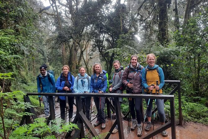 Mount Kilimanjaro Day Hike Through Marangu Route to Mandara Hut - From Arusha to Marangu Gate at 1,860 meters