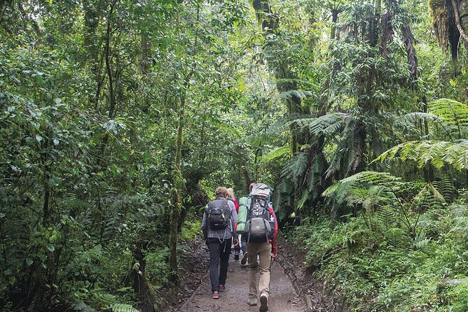 Mount Kilimanjaro Day Hike Through Marangu Route to Mandara Hut - Who should book this Kilimanjaro day hike?