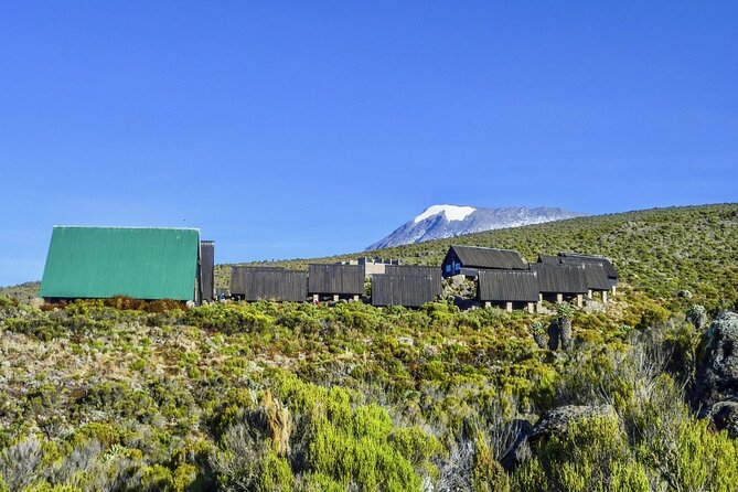 Mount Kilimanjaro Day Hike Through Marangu Route to Mandara Hut - The Marangu rainforest trail