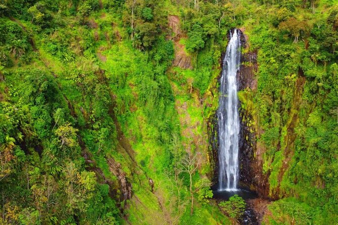 Mount Kilimanjaro day trip trekking - Price and what your $90 buys