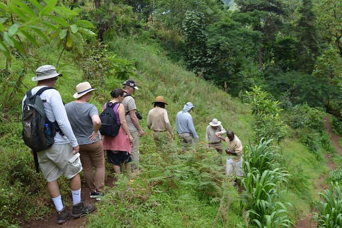Mount Kilimanjaro day trip trekking - Timing, transport, and the long-day reality