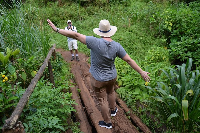 Mount Kilimanjaro day trip trekking - Who should book this experience?