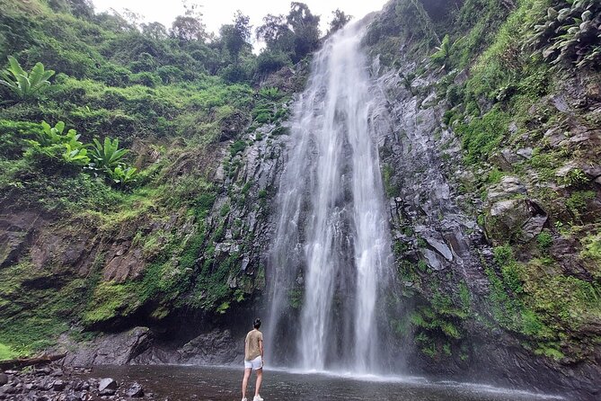 Mount Kilimanjaro day trip trekking - The hike to Materuni Waterfalls