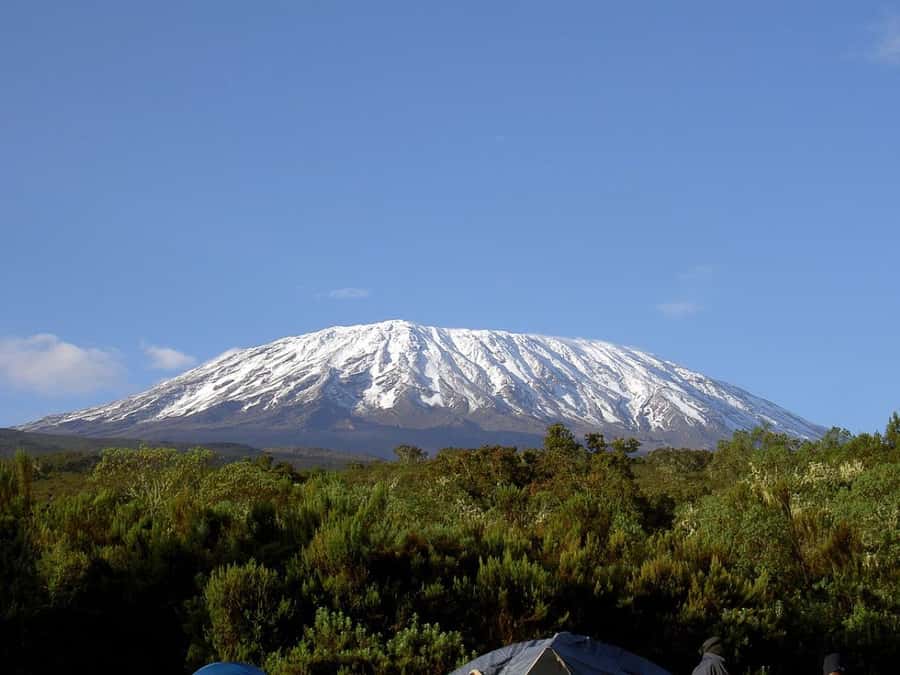 Mount Kilimanjaro National Park Day Trip - The key facts at a glance