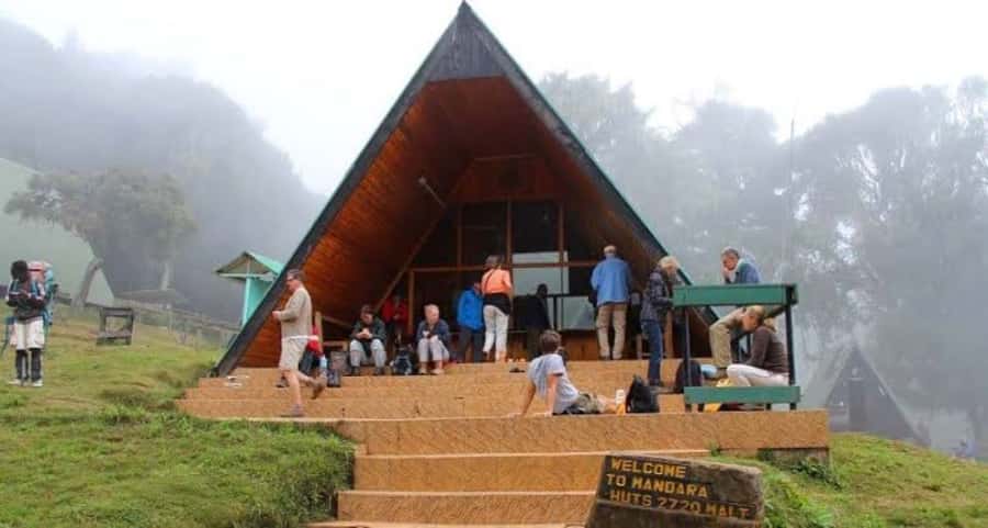 Mount Kilimanjaro National Park Day Trip - What this day on Kilimanjaro really offers