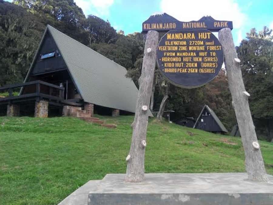 Mount Kilimanjaro National Park Day Trip - Maundi Crater and the big views