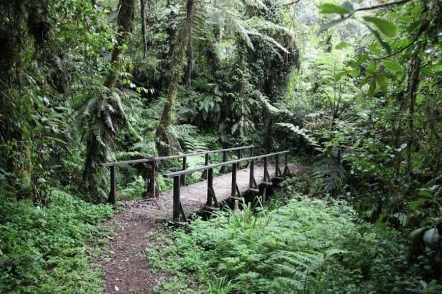 Mount Kilimanjaro National Park Day Trip - Is $405 a fair price?