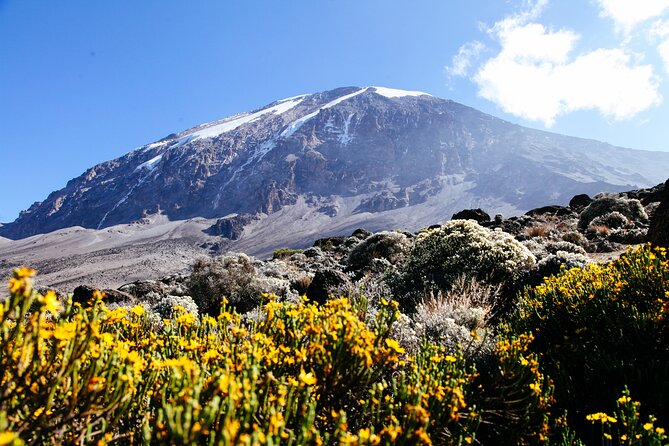 Mount Kilimanjaro Rongai Route - Day 7: Forest descent and the Marangu Gate