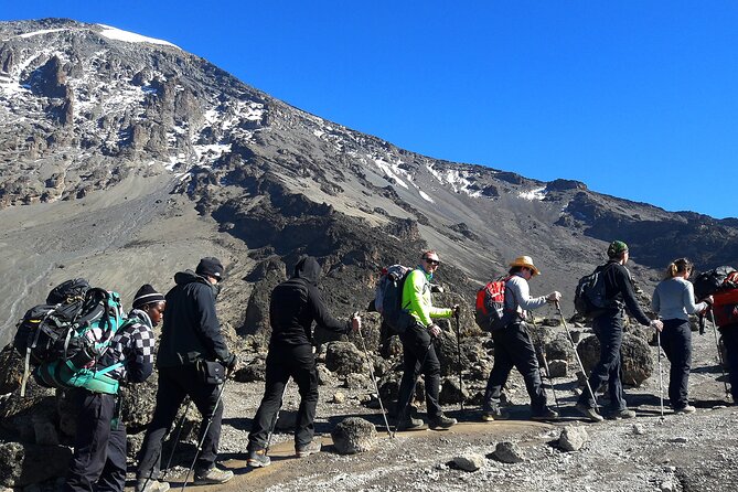 Mount Kilimanjaro Rongai Route - Day 2: The moorland route toward Kikelewa
