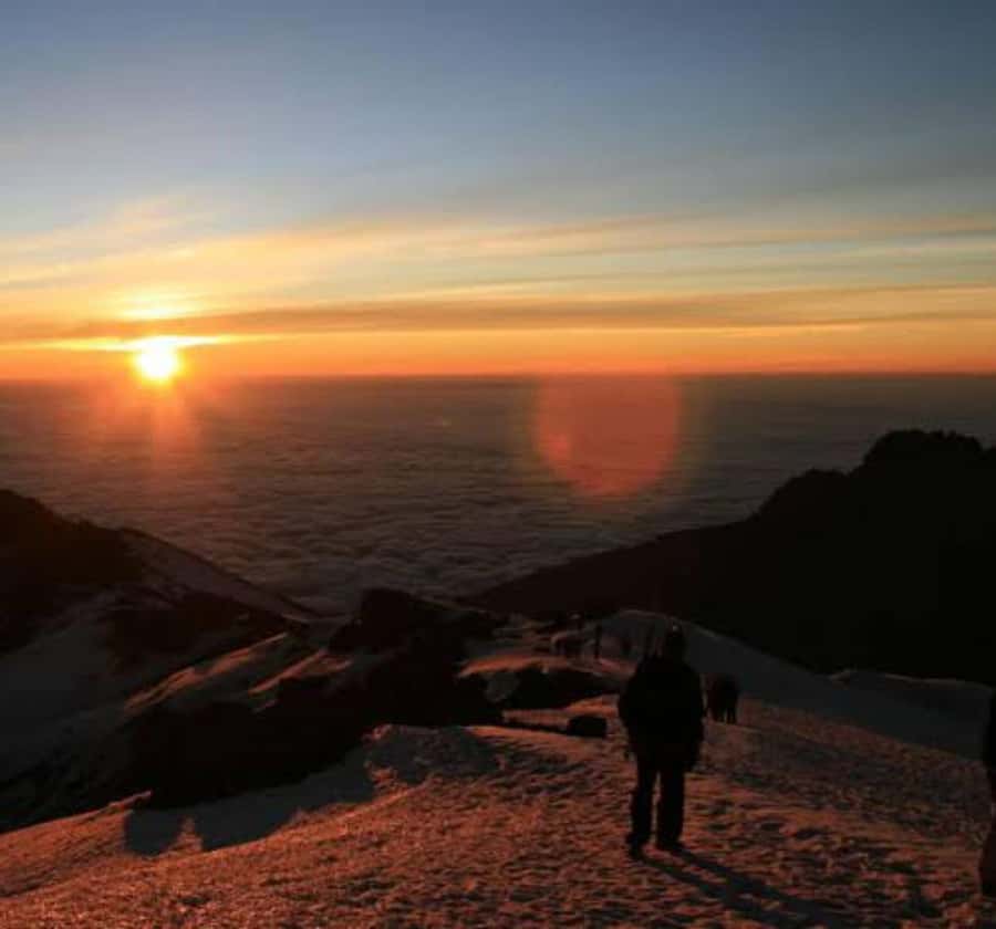 Mount Kilimanjaro Trekking Tour – Climb with Local Guides - Key points before you book