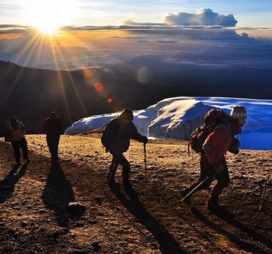 Mount Kilimanjaro Trekking Tour – Climb with Local Guides - Big Tree Camp and the road to Shira Camp Two