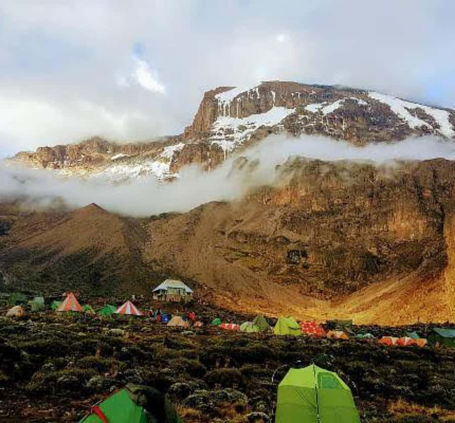 Mount Kilimanjaro Trekking Tour – Climb with Local Guides - The descent through Mweka
