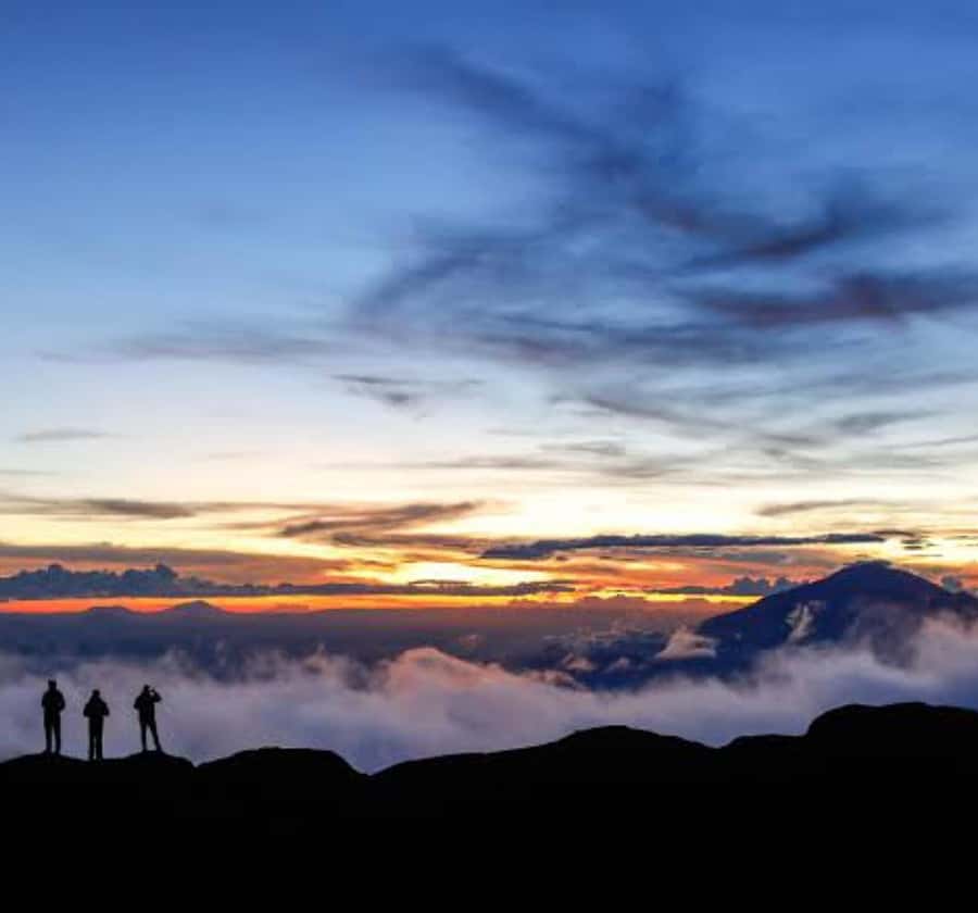 Mount Kilimanjaro Trekking Tour – Climb with Local Guides - What the $110 price really covers