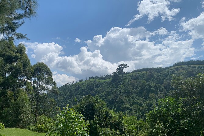 Mount Meru Arusha Napuru Waterfall Hike by Kingstone Asilia - Is $54 good value for this Mount Meru hike?