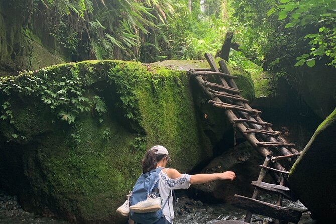 Mount Meru Arusha Napuru Waterfall Hike by Kingstone Asilia - Down through rainforest to the river