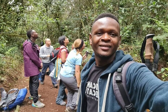 Mountain Kilimanjaro Day Hike - The uphill effort to Mandara Hut