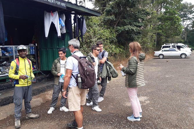 Mountain Kilimanjaro Day Hike - Mandara Hut and the picnic stop