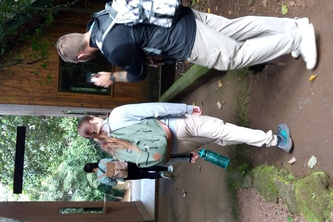 Mountain Kilimanjaro Day Hike - The descent and return to your hotel
