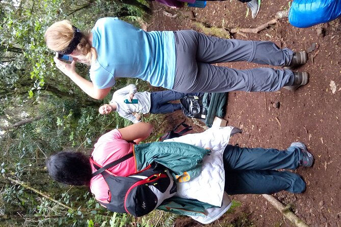 Mountain Kilimanjaro Day Hike - The early pickup and road to Marangu Gate