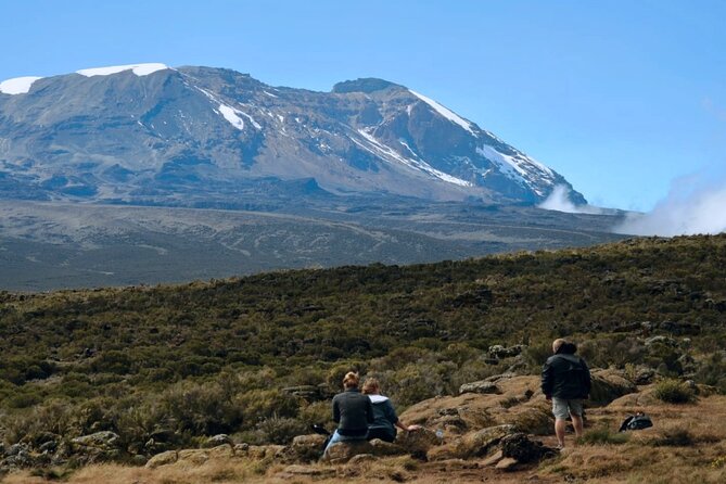 Mt. Kilimanjaro: Shira plateau to Cathedral point 3872m Day hike - From Londorosi Gate into mountain forest