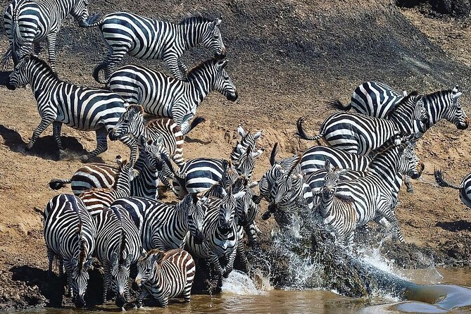 Multi-Day Camping Safari Experience in Arusha - Day 4: Sunrise in the Serengeti and a move toward Ngorongoro