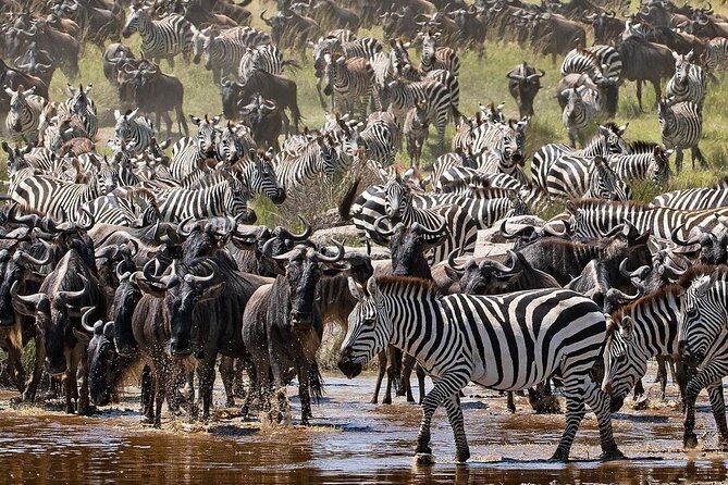 Multi-Day Camping Safari Experience in Arusha - Day 6: Lake Manyara’s Rift Valley setting