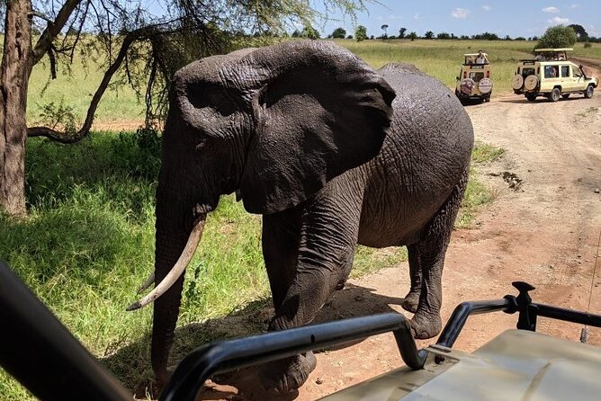 Multi-Day Tanzania Odssey Safari from Arusha - Day 1: A soft landing at Mount Meru Hotel