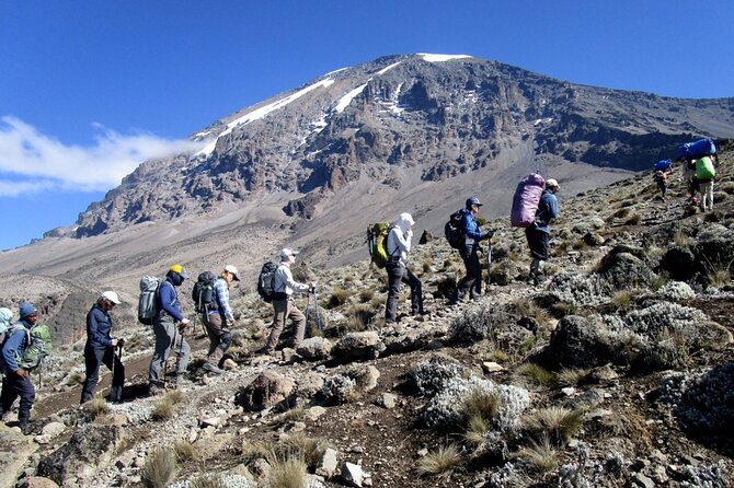 Multi-Day Tour RONGAI Route Kilimanjaro Trekking - Day 3: The short, steep climb to Mawenzi Tarn