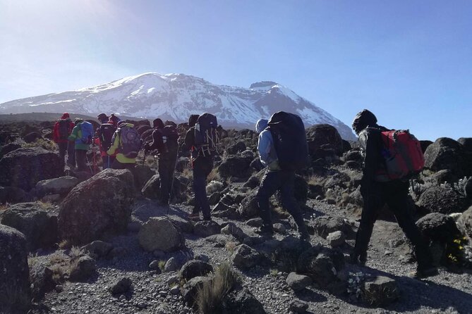 Multi-Day Tour RONGAI Route Kilimanjaro Trekking - Day 1: From Arusha to Rongai Cave