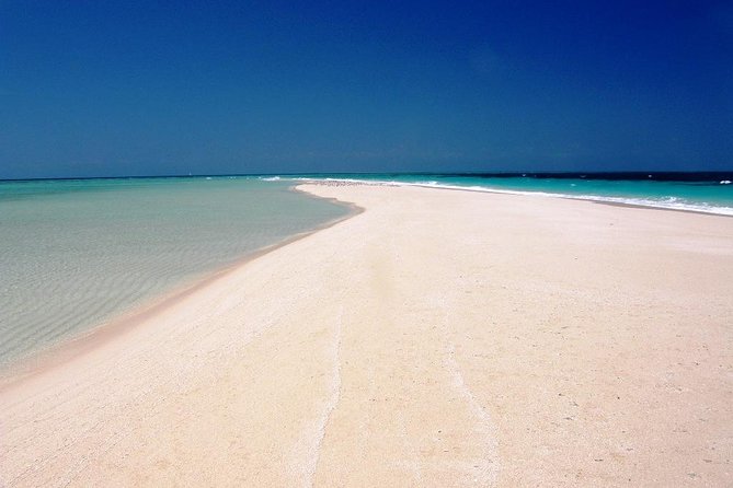 Nakupenda Beach Day Tour in Zanzibar - Prison Island and the giant tortoises