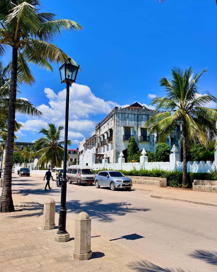 Nakupenda sandbank and stone town - Who should book this Zanzibar day trip?
