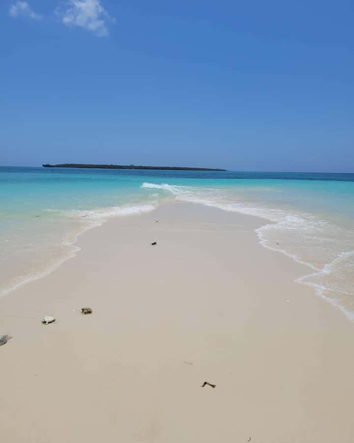 NAKUPENDA SANDBANK BEACH AND SNORKELING - The seafood barbecue lunch
