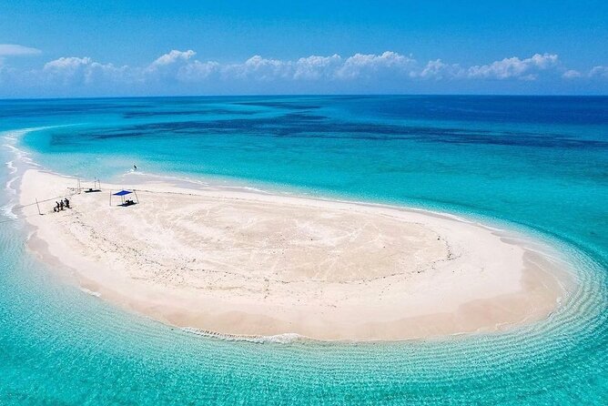 Nakupenda SandBank & Prison Island (Changuu Island) - Snorkeling around Prison Island