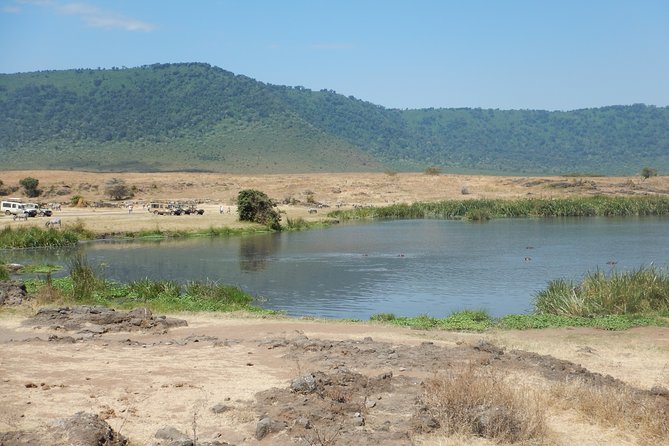 Ngorongoro Adventure Day Tour from Arusha - Why Ngorongoro Crater makes a strong one-day safari