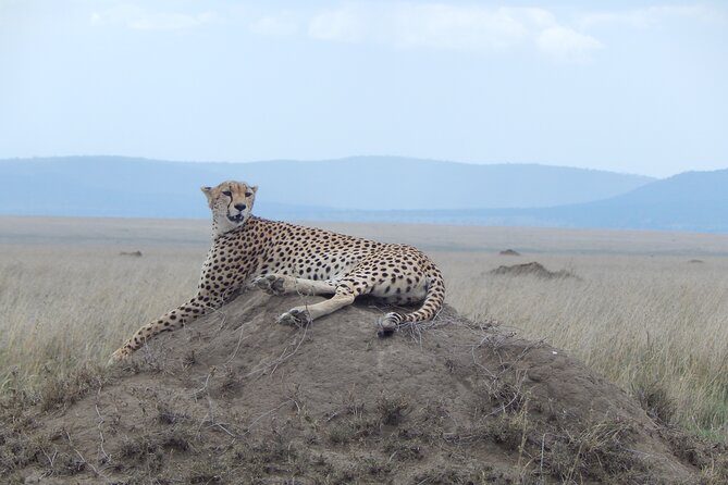 Ngorongoro Adventure Day Tour from Arusha - The main concern: return transport