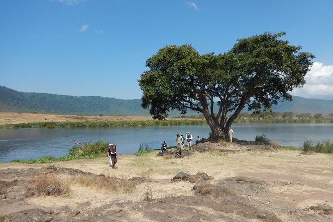 Ngorongoro Adventure Day Tour from Arusha - Karatu: a short stop before the crater