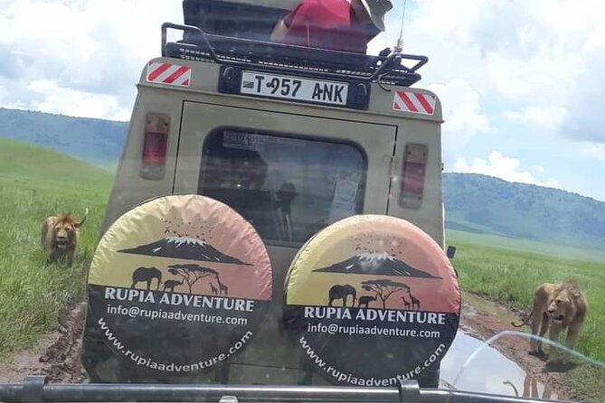 Ngorongoro Crater Day Trip - Why Ngorongoro makes a strong one-day safari