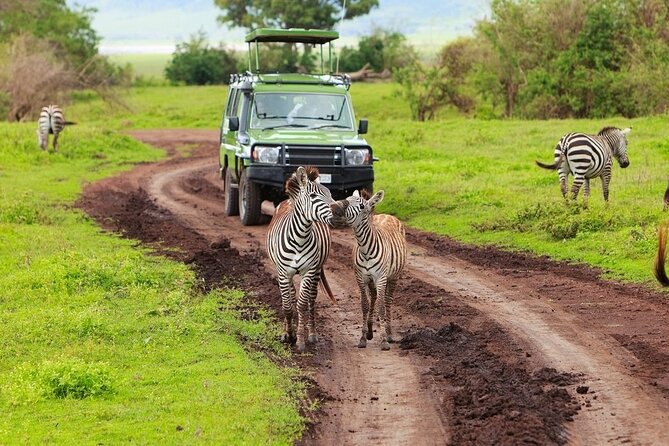 Ngorongoro Crater Day Trip - Who will enjoy this private crater day trip?