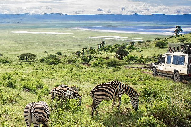 Ngorongoro Crater Exclusive: A Journey into Africa’s Eden - Picnic lunch beside the Hippo Pool