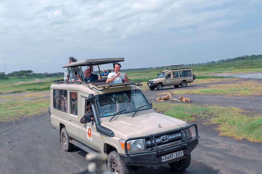 Ngorongoro Crater: Full-Day Safari Tour - First look from the Ngorongoro rim