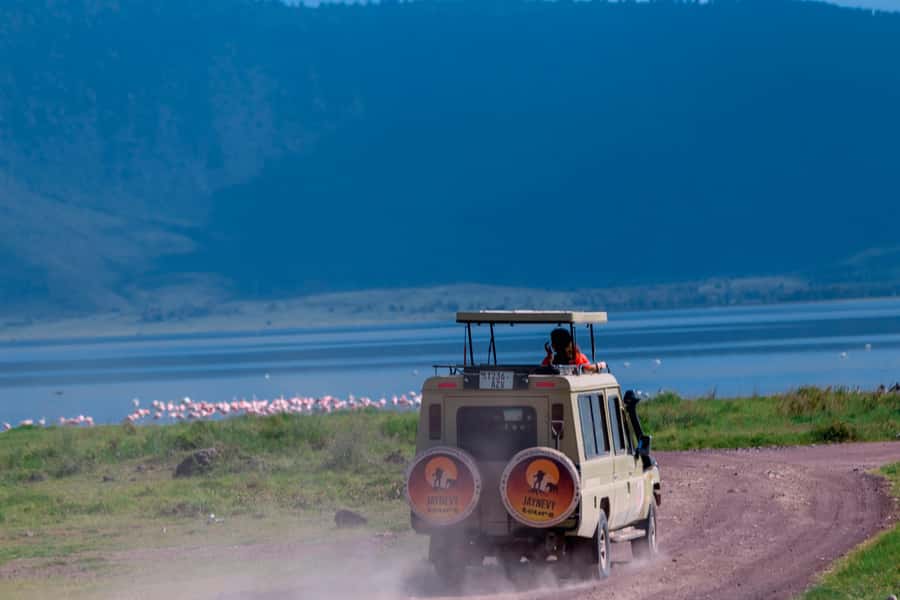 Ngorongoro Crater: Full-Day Safari Tour - Five hours on the crater floor