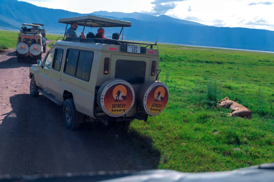 Ngorongoro Crater: Full-Day Safari Tour - The Maasai connection and what to expect