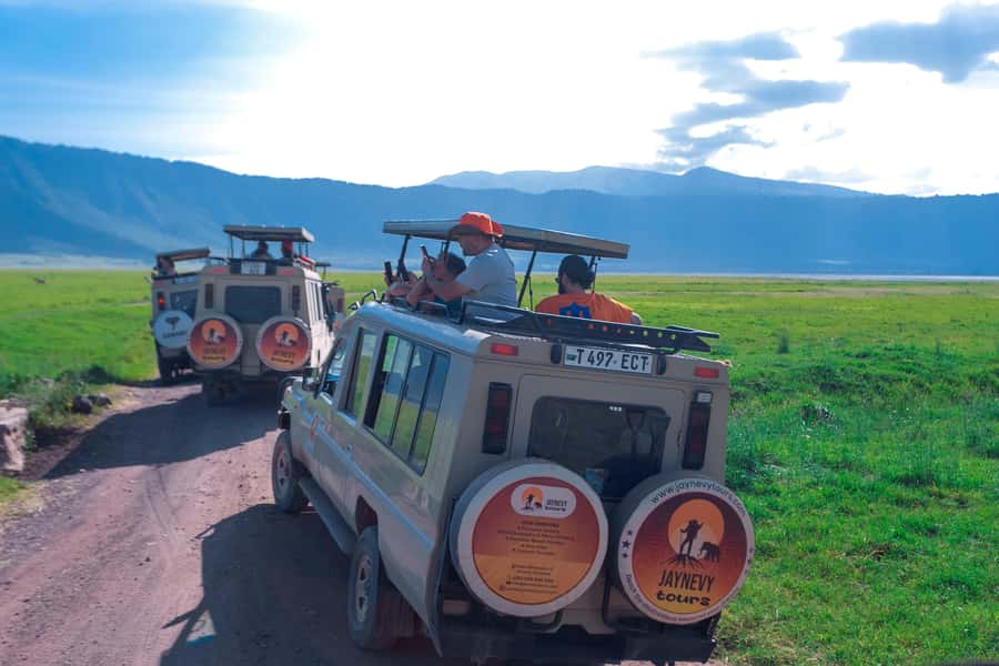 Ngorongoro Crater: Full-Day Safari Tour - Who will enjoy this safari most