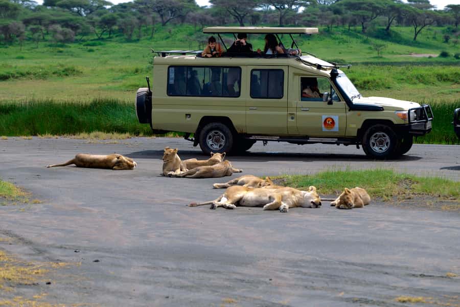 Ngorongoro Crater: Full-Day Safari Tour - The Arusha pickup and long road to the crater
