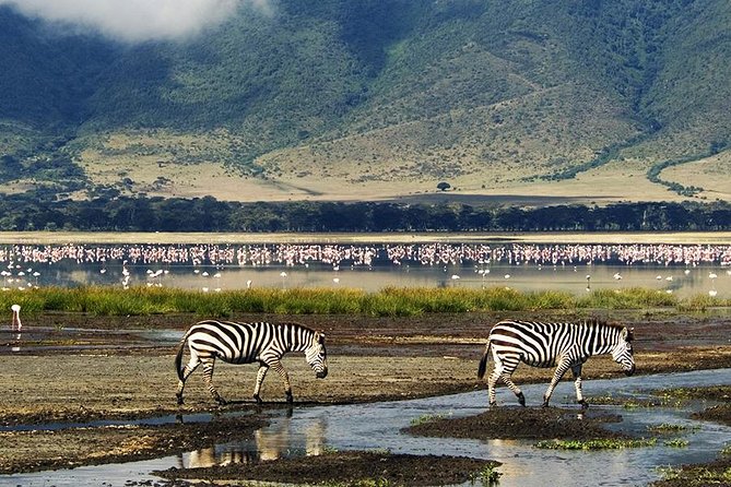 Ngorongoro Day Trip - Key points to know before booking