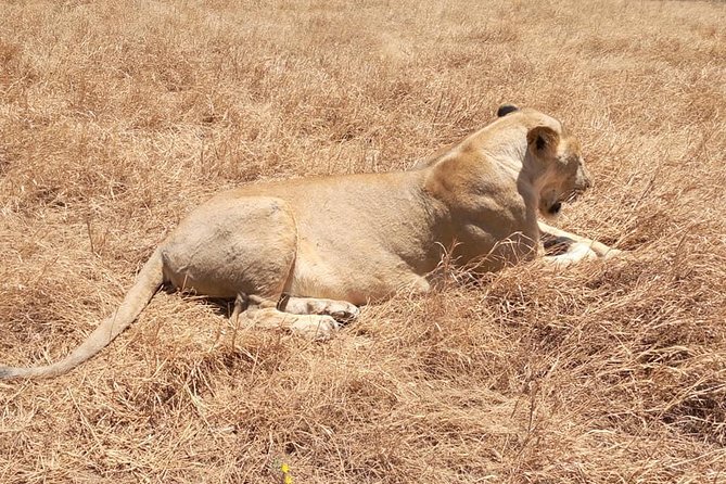 Ngorongoro Day Trip From Arusha / Kilimanjaro - The road to the conservation area