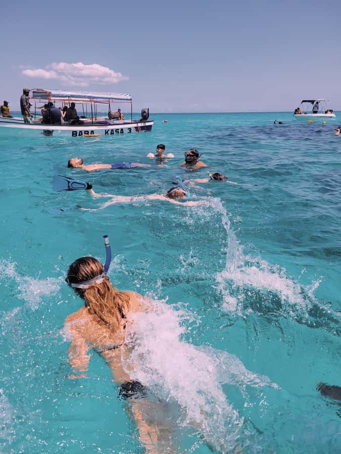 Nungwi: Dolphins,snokerlling &/or sunset cruising tour - Five things to know before you book