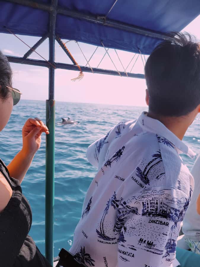 Nungwi: Dolphins,snokerlling &/or sunset cruising tour - Safety and practical points