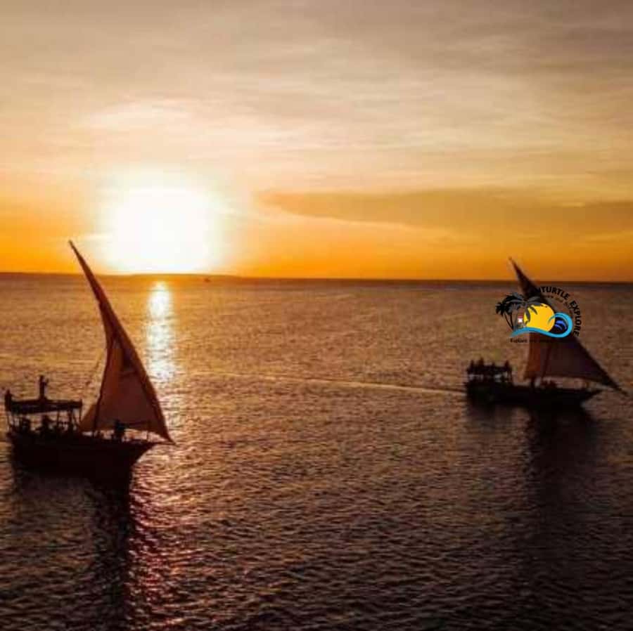 Nungwi/Kendwa: Sunset Dhow Cruise with Traditional music - Should you book the Nungwi and Kendwa dhow cruise?